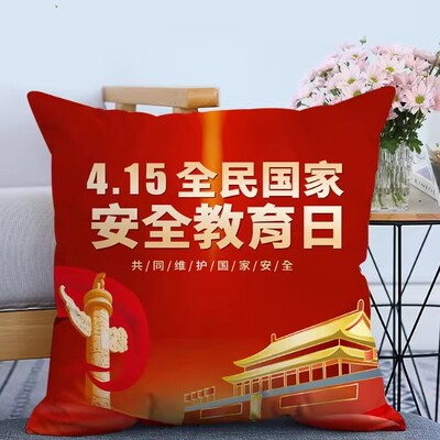 415全民国家安全教育日国家安全人人有责普法宣传礼品抱枕可定制
