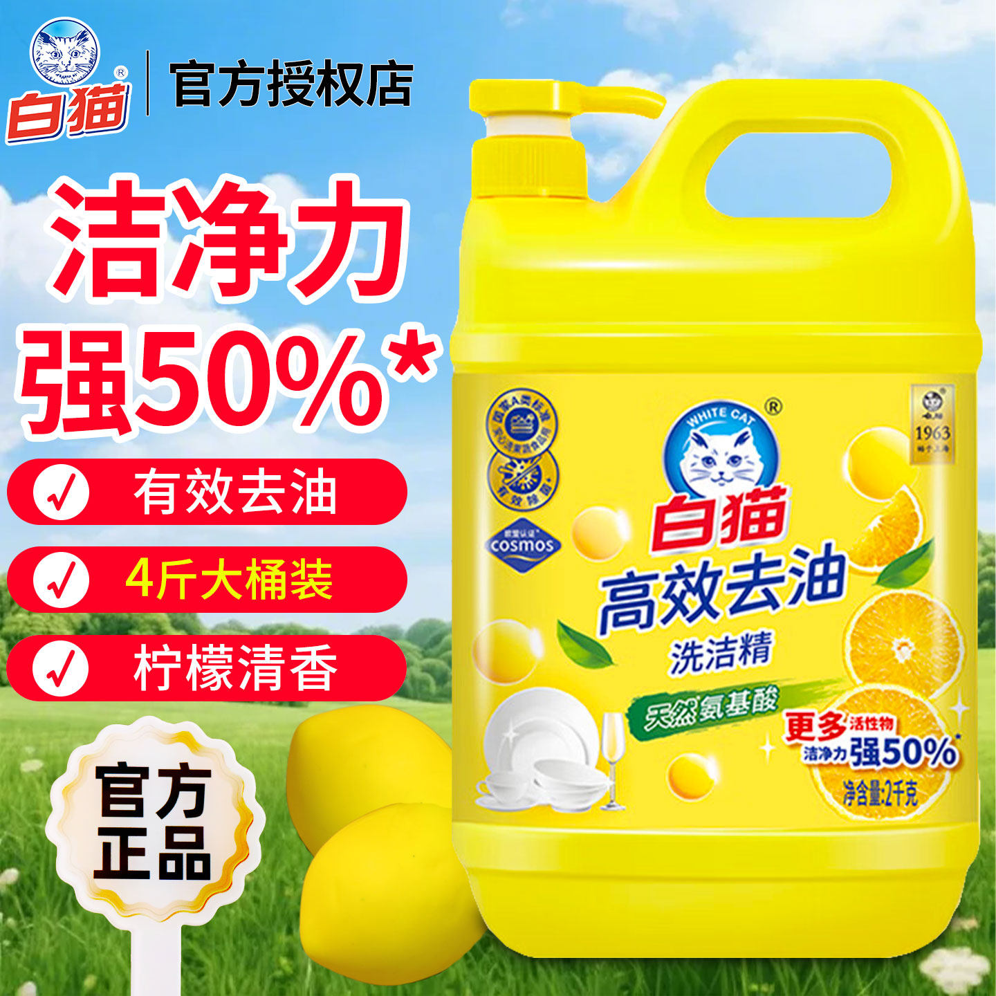 白猫洗洁精大桶按压瓶家庭用洗碗液厨房洗涤剂实惠装批发餐饮洗碗