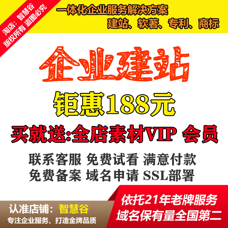 个体企业公司单位外贸门户宣传网络推广SEO域名空间网站建设