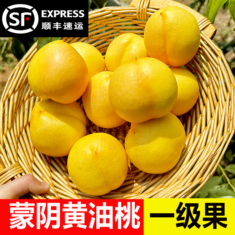 黄油桃新鲜水果整箱当季山东蒙阴黄桃黄金油桃沂蒙山掌柜桃子新鲜