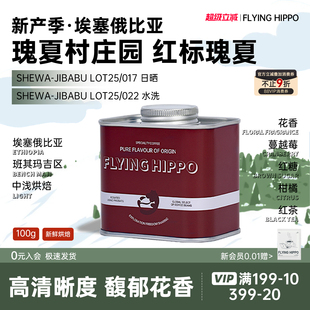 新产季 017中浅精品手冲咖啡豆100g 瑰夏村红标瑰夏Banji地块LOT25