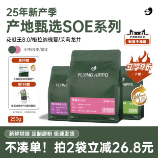 FLYINGHIPPO埃塞花魁王SOE瑰夏手冲咖啡豆冷萃意式 拿铁250g 美式