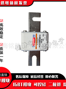 全新现货PC30UD69V450D1A  S300695熔断器