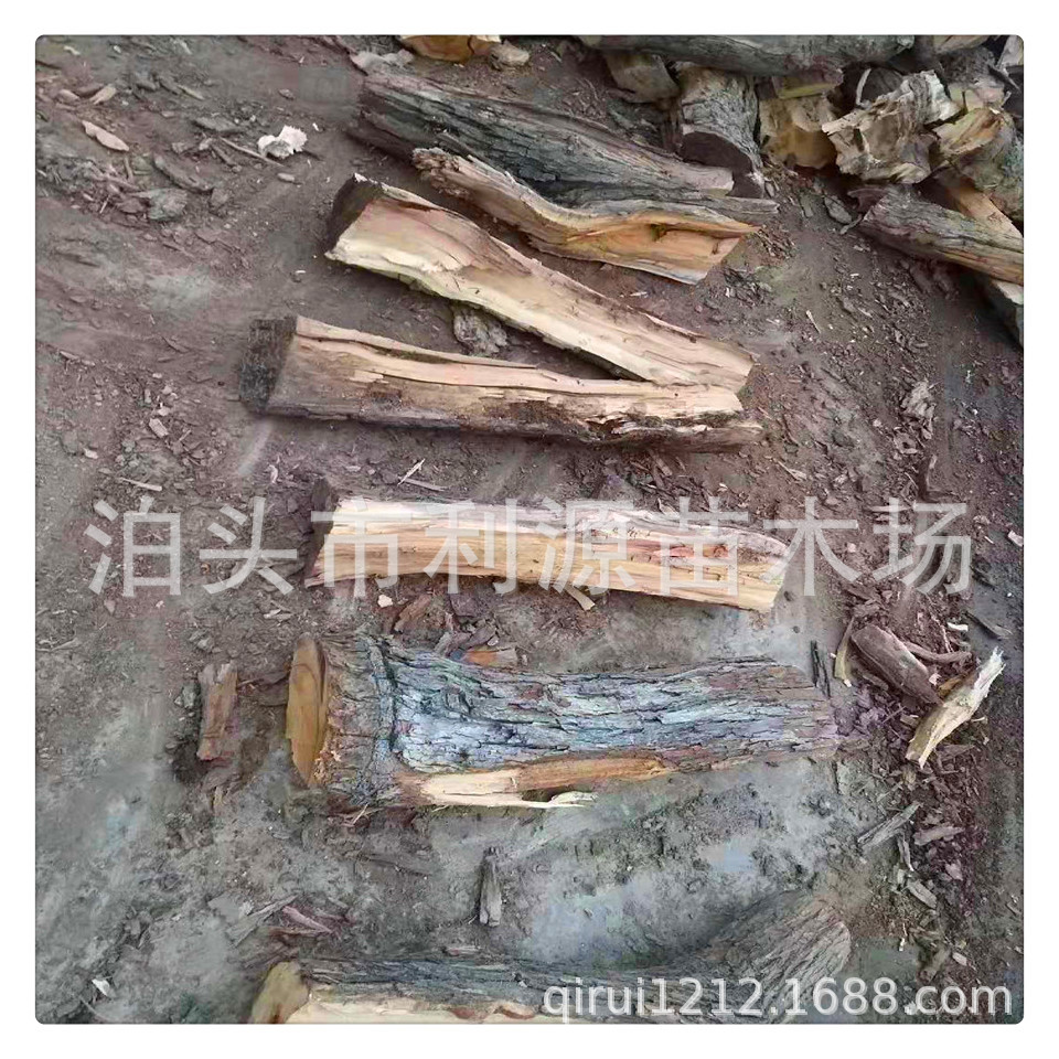 厂家批发烤鸭枣木柴 烤扒烤披萨烤红肠果木柴 全国发货 货源充足