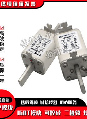 170M2608 170M2609 170M2610 170M2611巴斯曼熔断器现货170M2612