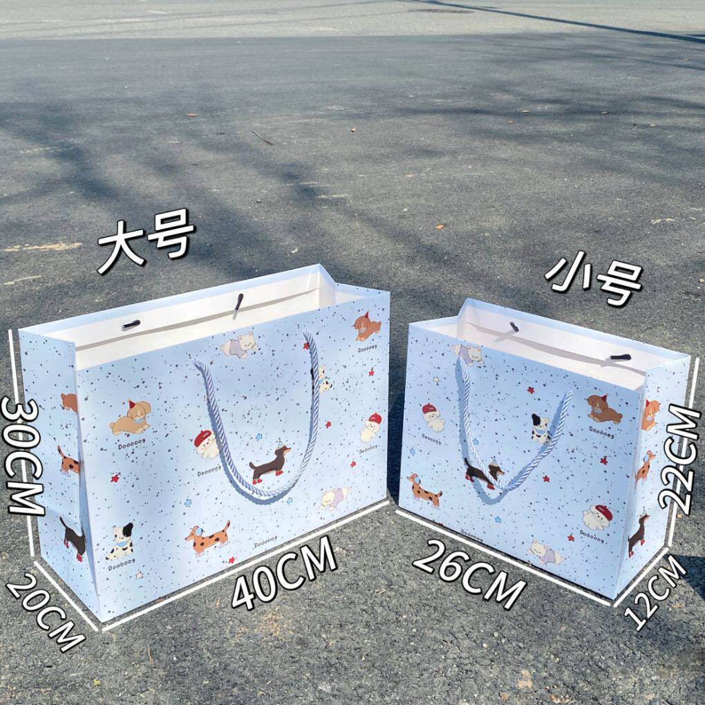 超大礼品袋精美袋ins风礼品袋硬卡纸高颜值手提袋特大号生日礼物