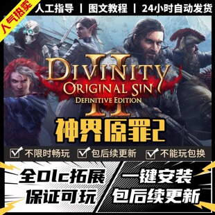 神界原罪2 中文版 全DLC PC电脑单机游戏 Steam 包更新