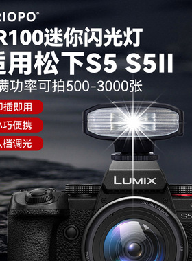 松下S5M2相机闪光灯s5m2口袋灯松下S5二代微单照相机机顶闪光灯新复古摄影外置热靴灯臻亮TR100闪光灯外拍灯