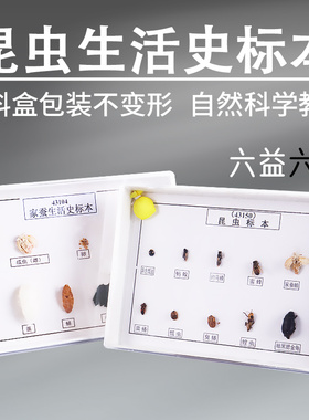 家蚕生活史43104常见昆虫标本6益6害43150塑料盒小学自然科学中学生物实验幼教启蒙科普教具教学演示器材仪器