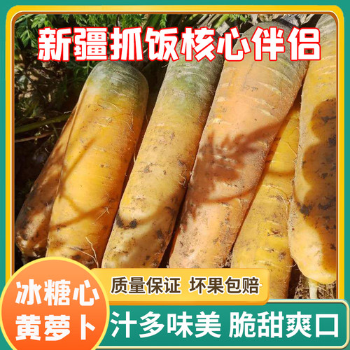 新疆特产黄萝卜新鲜红农家菜水果