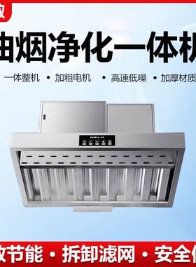 商用抽油烟机净化一体机厨房酒店大吸力低空排放净化器