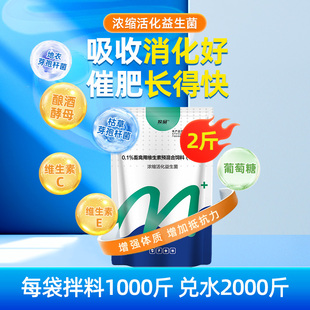 牧品兽用水溶活化益生菌调理肠胃鸡用促消化发酵饲料添加剂