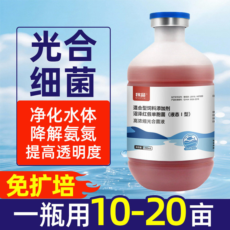 光合细菌鱼虾蟹水产养殖净水体降解氨氮培养基原液光合菌液菌种