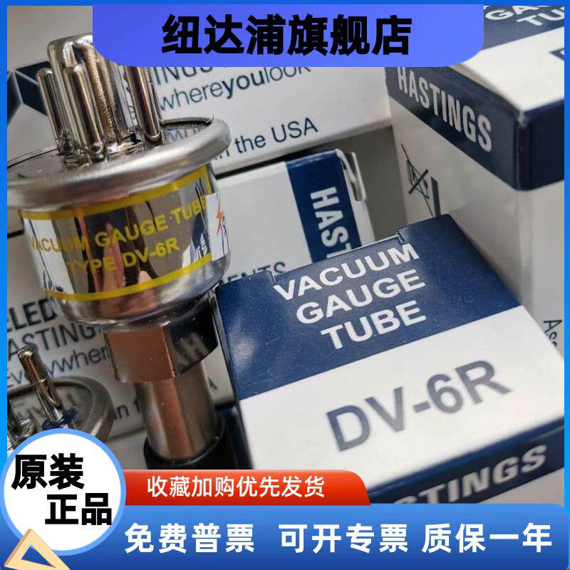 进口HASTINGSDV-6R真空规