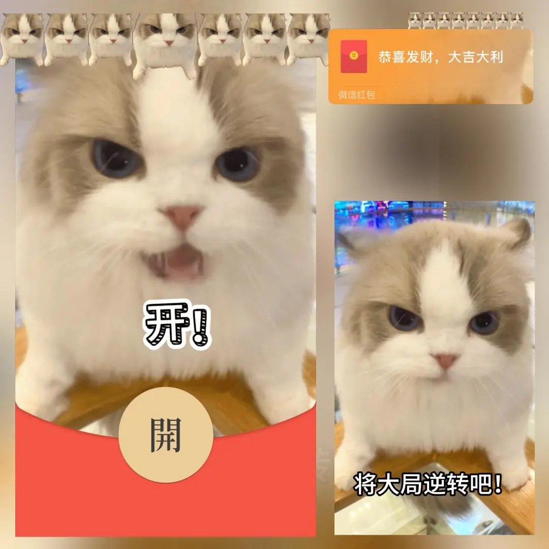 开！将打局逆转吧猫meme红包封面微信序列号vx皮肤激活码新款动态