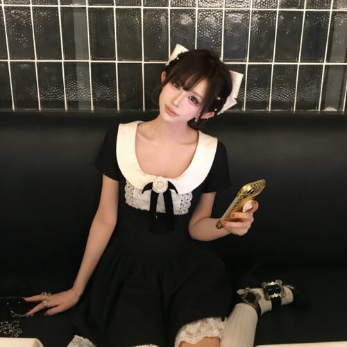 DG【山茶少女】学院风法式娃娃领气质山茶花连衣裙