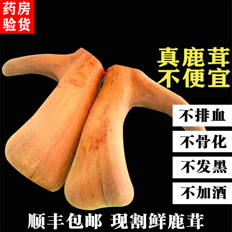 梅花鹿新鲜鹿茸整枝整根含带血片整只正品中药材泡酒煲汤头茬二杠
