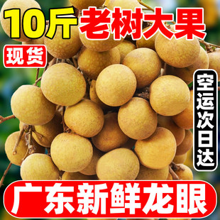 现货广东新鲜石硖龙眼产地直供高州桂圆带叶当季新鲜水果整箱10斤