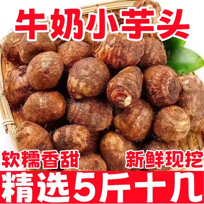 云南现挖牛奶小芋头5斤粉糯