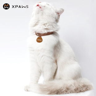 猫咪防窒息项圈挂牌防丢失宠物弹力轻巧型可定制猫牌幼猫脖圈配饰