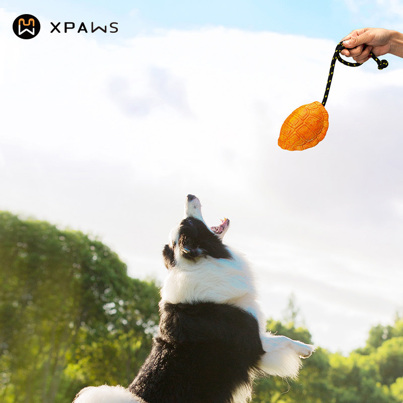 XPAWS 宠物漏食咬胶玩具狗狗耐咬磨牙边牧中型犬自嗨解闷神器海龟,宠物/宠物食品及用品,橡胶球/球形玩具,淘宝优惠券,粉丝福利购,淘宝优惠卷