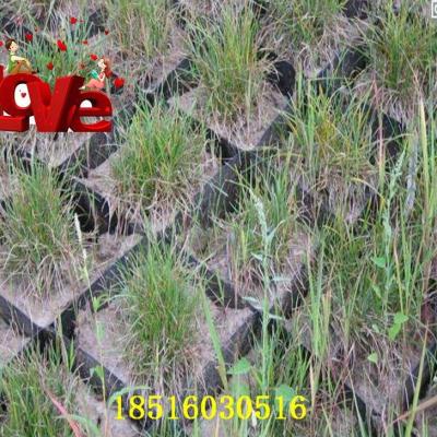 鱼塘护坡/河道堤c坝防水土流失防滑土工格室 铺路网格固土加筋格