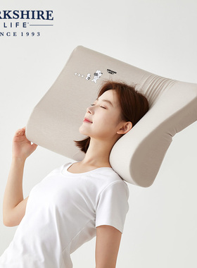 BERKSHIRE伯克希尔 慢回弹记忆棉零压枕四季睡眠枕单人天丝棉头枕