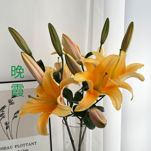 A级晚霞香水百合花鲜切花多头顺丰速递昆明直发鲜花云南基地直发