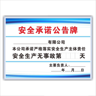 安全生产主体责任制度生产经营单位五落实五到位规定主要分管负责人管理机构从业人员职责安全承诺公告标识牌