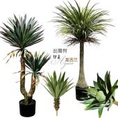 彷真沙漠肉质龙舌兰欧式 剑麻叶树芦荟室内落地庭院造景绿植物盆栽