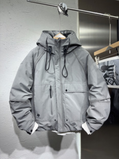 2025新款男士工装白鸭绒羽绒服时尚连帽潮牌宽松外套加厚保暖上衣