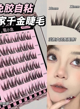 韩系富家千金！免胶假睫毛自然仿真女团爱豆根根分明懒人三部曲