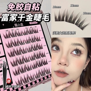 韩系富家千金 免胶假睫毛自然仿真女团爱豆根根分明懒人三部曲