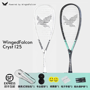 2026款 125系列初学者男女超轻全碳素专业壁球拍 隼张Wingedfalcon