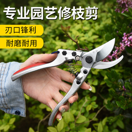 冈弘PRO台湾冈弘园艺剪刀修枝剪果树剪刀多功能家用省力修花剪刀