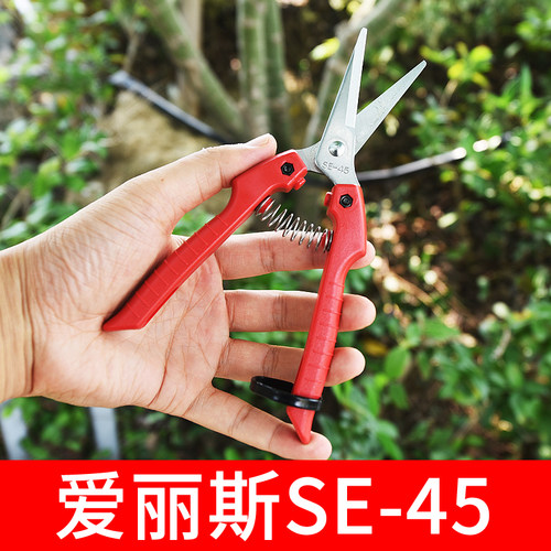 原装正品爱丽斯ARS se-45园林工具水果剪蔬果稀果剪葡萄摘果剪