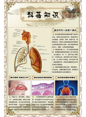 鼻炎馆装饰画宣传单定制鼻炎海报鼻炎知识科普图鼻腔解剖图贴墙画