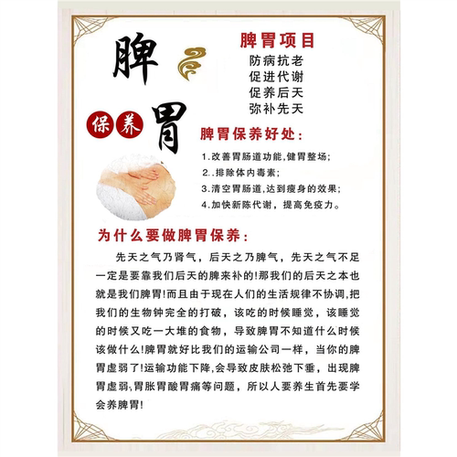 脾胃保养海报自粘中医调理美容院养生馆壁画装饰图贴墙广告画墙上