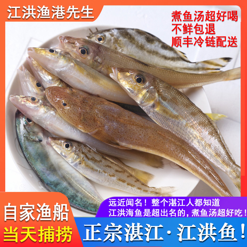湛江江洪海鲜野生海捕小杂鱼鲳鱼鲳鱼