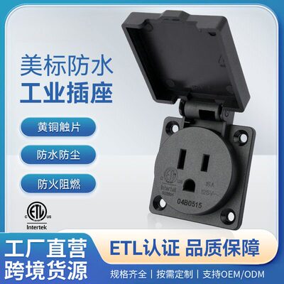 神创/TBSE美标翻盖防水工业插座防水美式15A125V防水插座5-15R