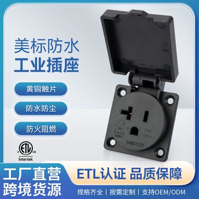 神创/TBSE美标翻盖防水插座工业插座防水IP54美式20A125V防水插座