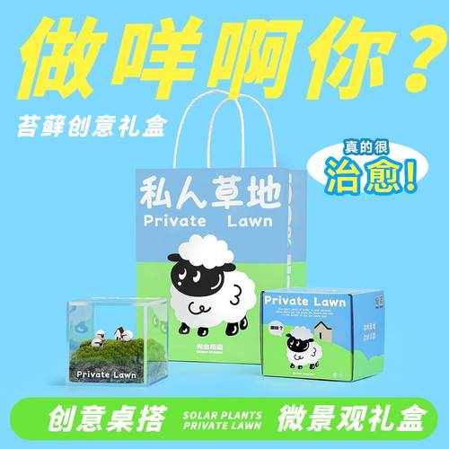 私人草地苔藓微景观办公室桌面工位懒人植物盆栽创意情绪植物好养