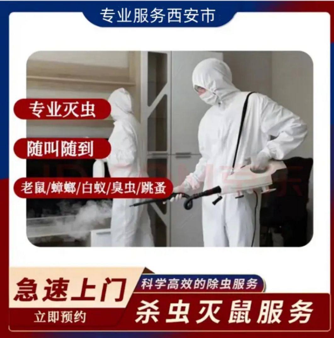 西安市上门灭蟑螂除蟑螂高效药杀蟑螂神器灭杀虫公司包年服务