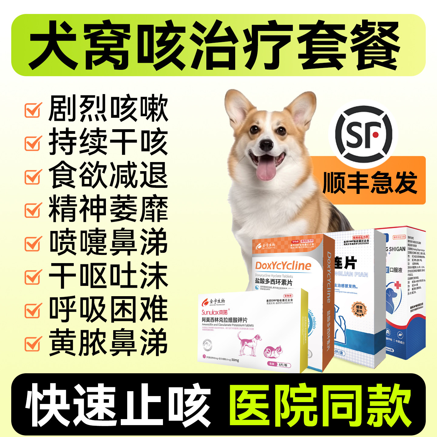 犬窝咳治疗套餐药狗咳嗽干呕感冒发烧专用咳喘宠物抗病毒窝咳净,宠物/宠物食品及用品,狗特色药品,淘宝优惠券,粉丝福利购,淘宝优惠卷