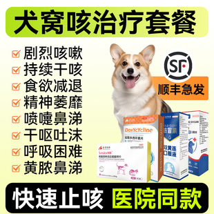犬窝咳治疗套餐药狗咳嗽干呕感冒发烧专用咳喘宠物抗病毒窝咳净