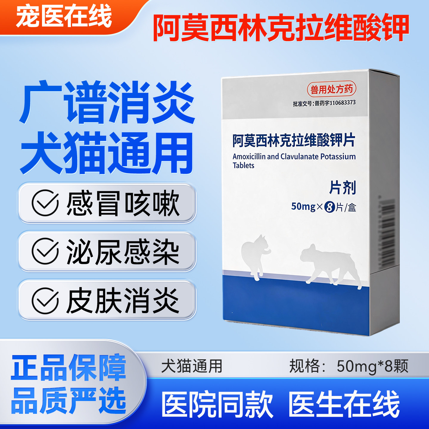 阿莫西林速诺同款消炎猫鼻支感冒图片