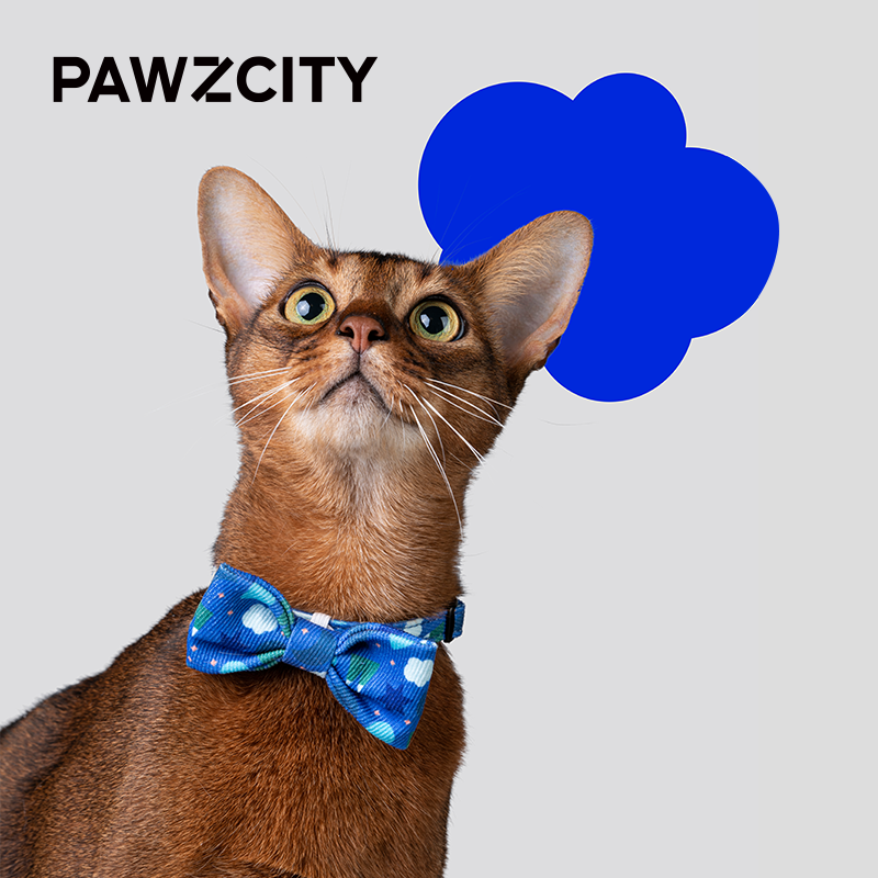 PAWZCITY都市丽人领结自带脖圈项圈脖套