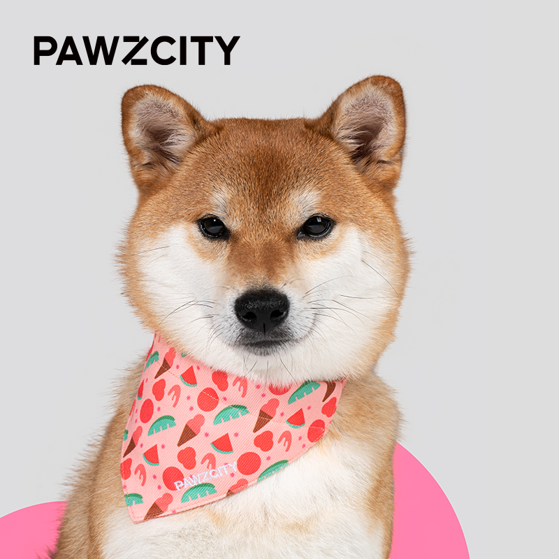 PAWZCITY都市丽人三角巾自带脖圈