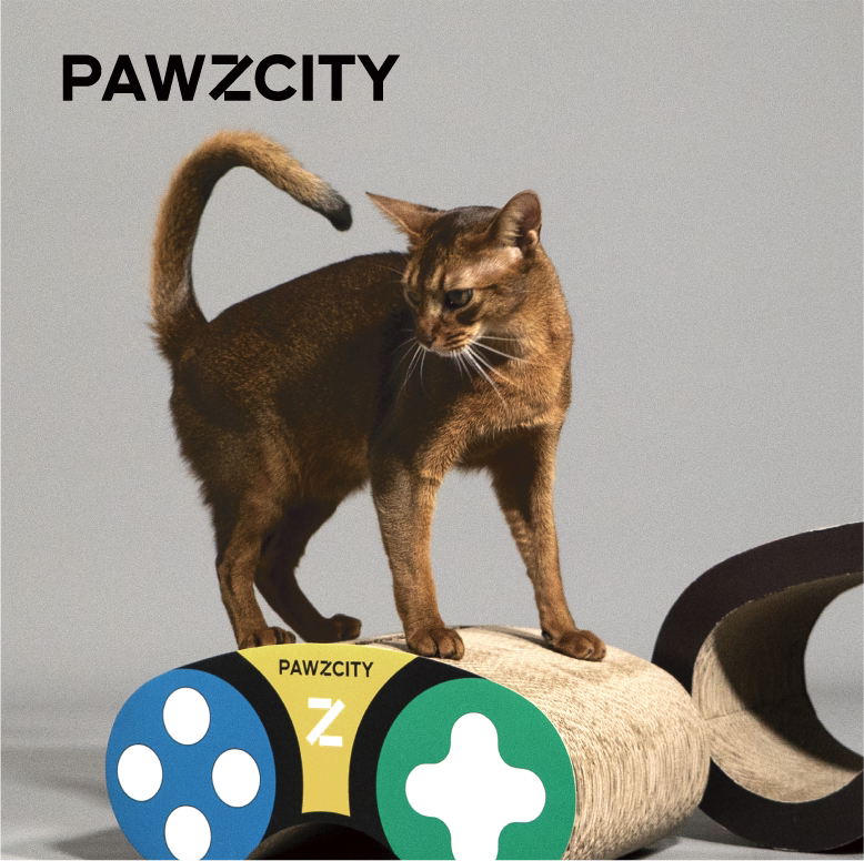 pawzcity大玩家游戏机猫抓板组合「二合一」