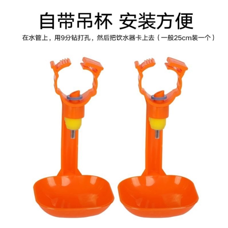 鸡用双吊杯饮水器家禽用乳头自动饮水碗钢球连体喝水嘴槽水线配